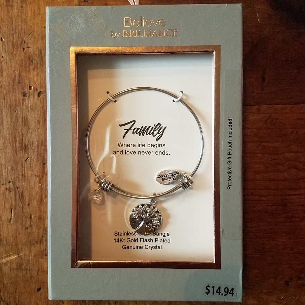 Brand new Brilliance charm bangle bracelet